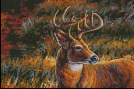 (image for) Autumn Bound